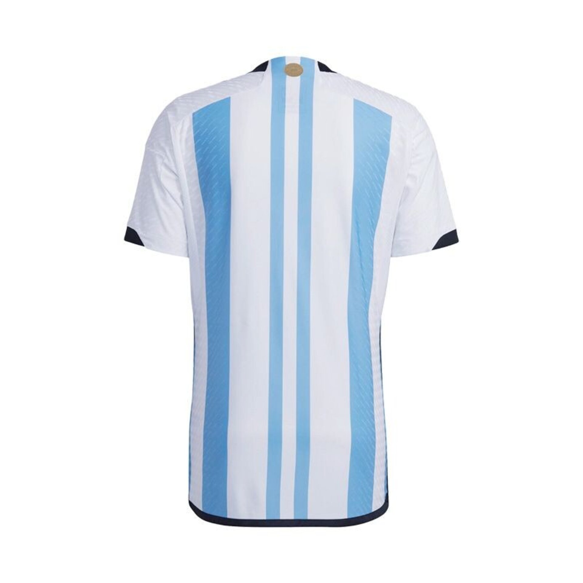 Argentina Mundial Qatar 2022 - 2